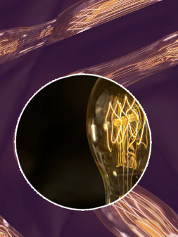 Betbarter bulb