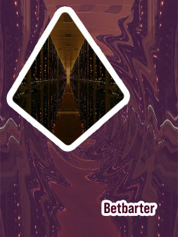 Download betbarter data free
